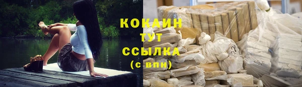 стафф Армянск