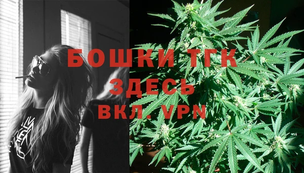 прущий лед Арсеньев
