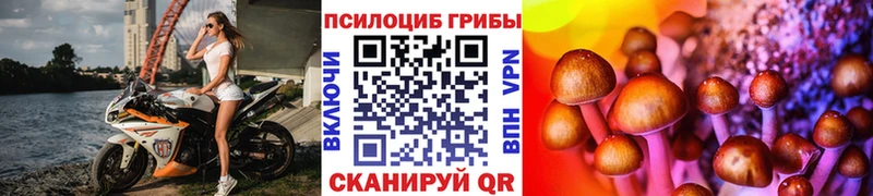 купить закладку  Белая Холуница  Псилоцибиновые грибы MAGIC MUSHROOMS 